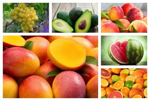 The potency of fruit